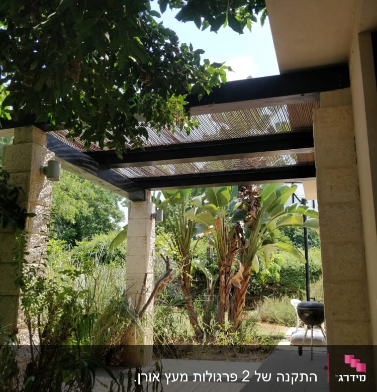 פרגולה מעץ עם צמחייה מסביב וגינה ירוקה